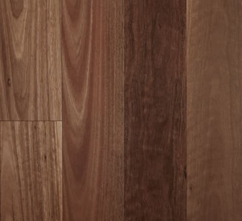 Spotted Gum Semi-Gloss flooring