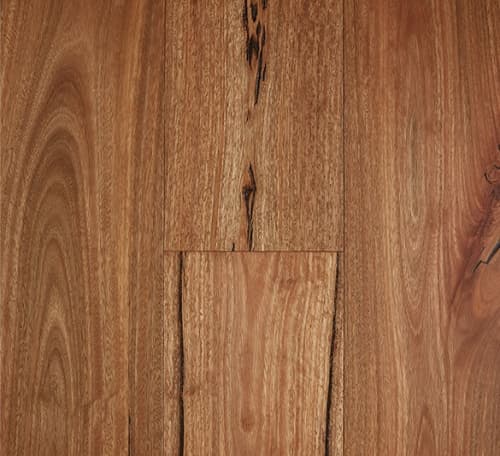 Spotted Gum Rustic flooring