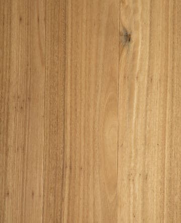 Blackbutt Rigid flooring
