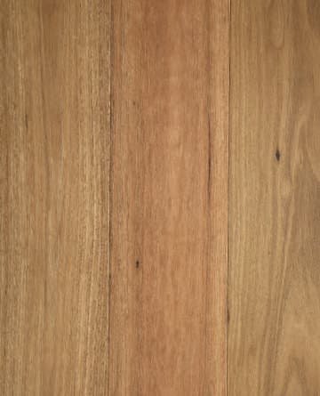 Spotted Gum Rigid flooring