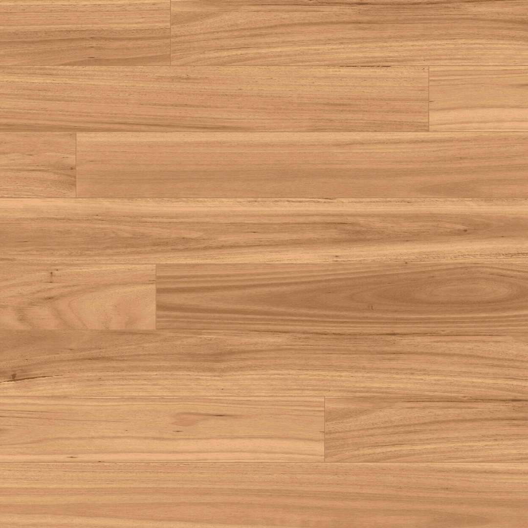 Blackbutt HF1 flooring
