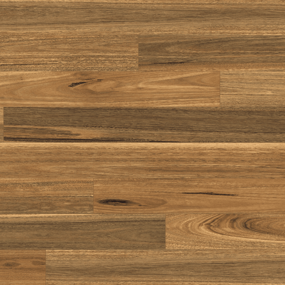Spotted Gum Native flooring