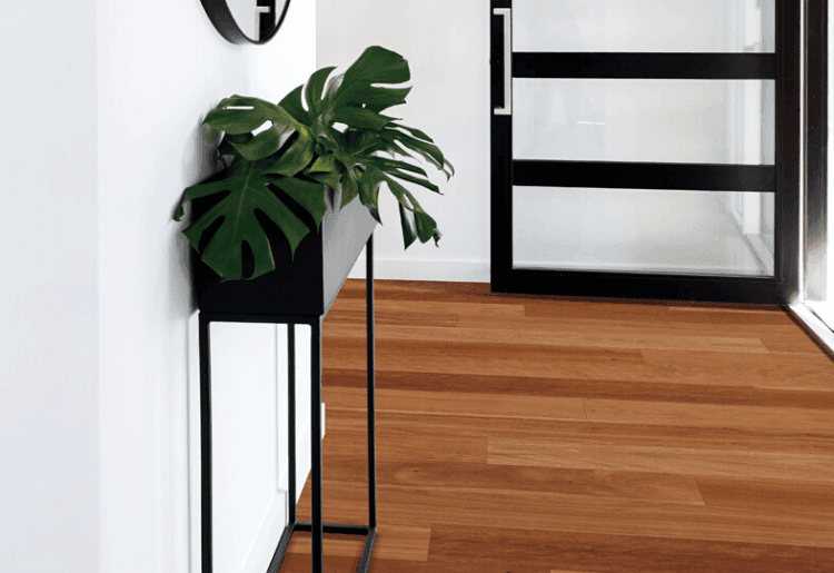 Brush Box Native flooring